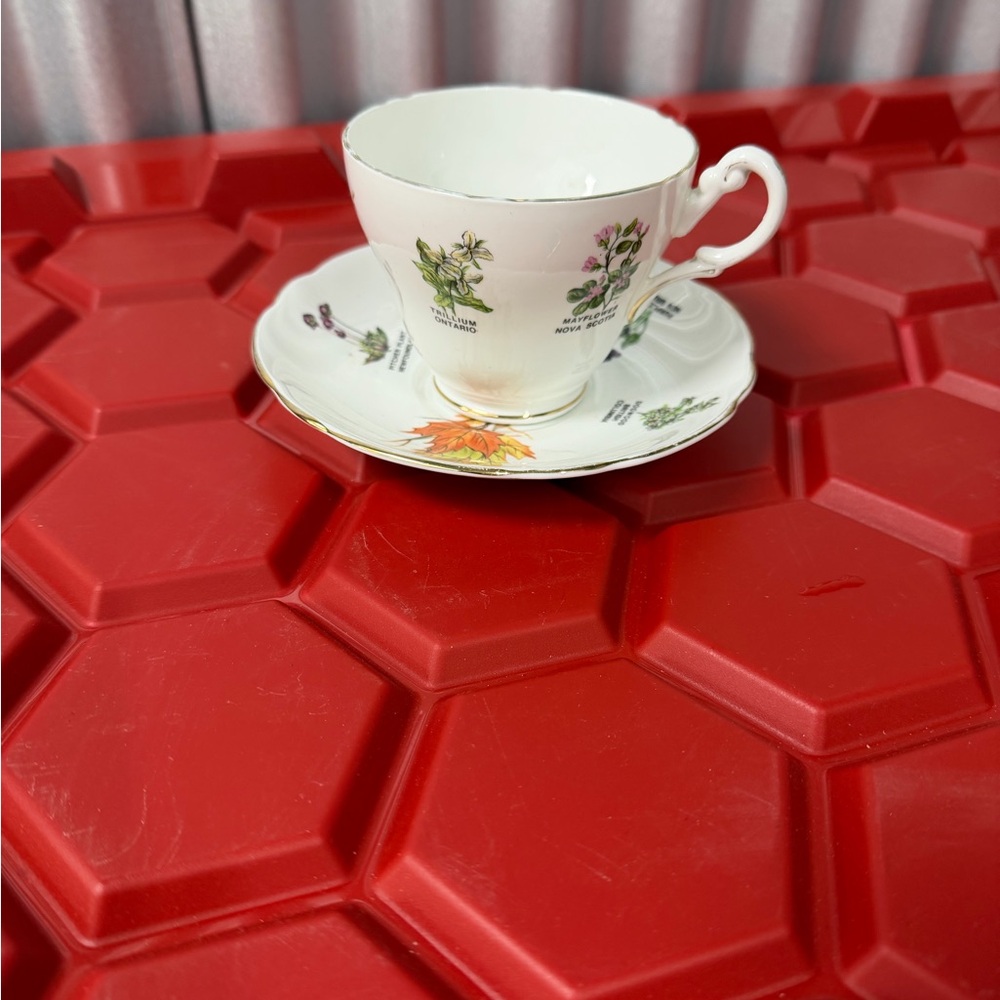 Botanical Floral China Teacup & Saucer - White with Multicolor Floral Decals